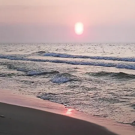 펜션 Akacjowa Ii 미엘노
